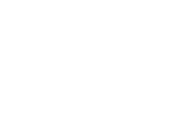 Codex API Scheduled E2E 2026-08-18 17:53:16